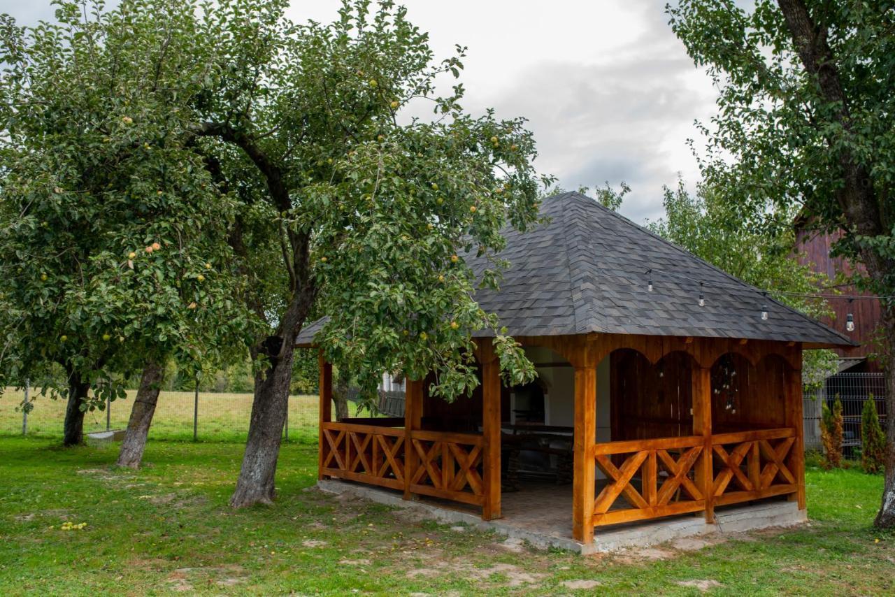 Casa Strabunicului Hotel Partestii de Sus  Kültér fotó